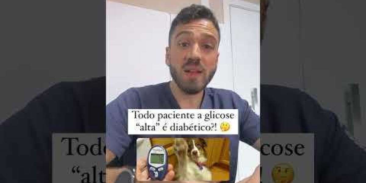 Tempo de liberação dos resultados do exame de lipase veterinário: o que saber